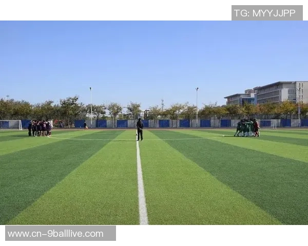 烟台足球的崛起与发展探索:从青训到职业联赛的全景分析